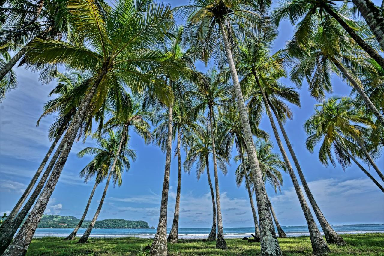 Nammbu Beach Front Bungalows Sámara 외부 사진